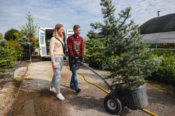 Reliable Far Hills, NJ Tree Services Solutions